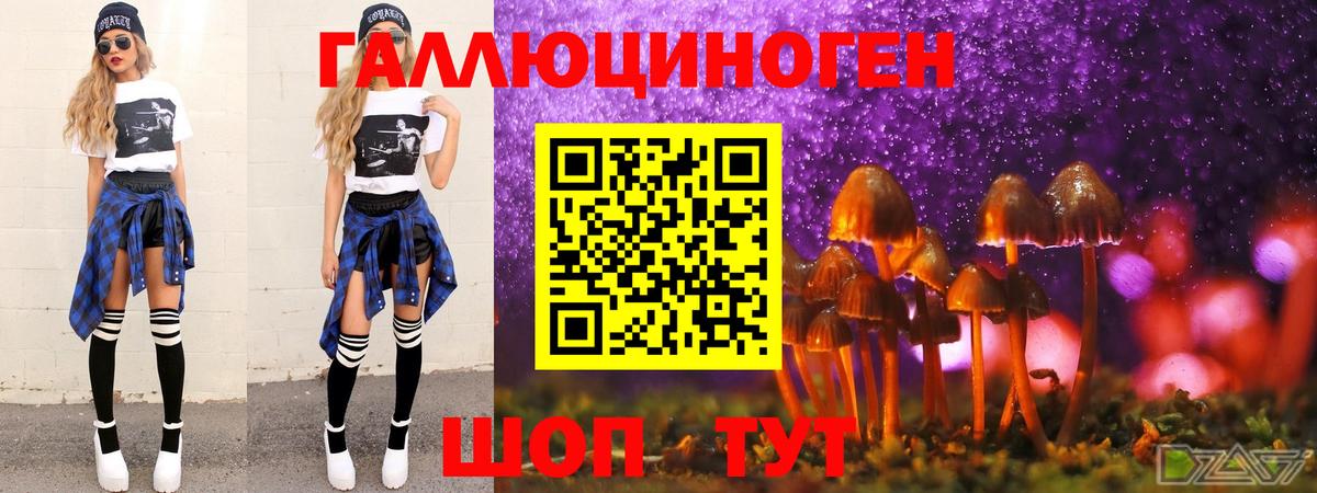 Псилоцибиновые грибы Psilocybe  Псилоцибиновые грибы MAGIC MUSHROOMS  Глазов  Вход с VPN 