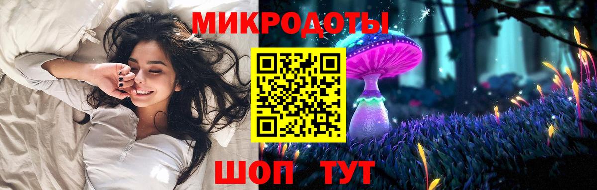 Галлюциногенные грибы Psilocybine cubensis Глазов